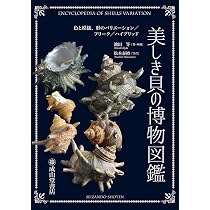美しき貝の博物図鑑 ー色と模様、形のバリエーション/フリーク